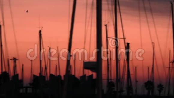 傍晚景观船停在天空日落背景上停泊的游艇视频的预览图
