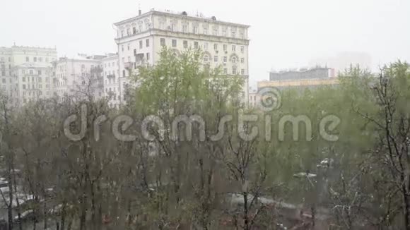 春天里的雪在城里下视频的预览图