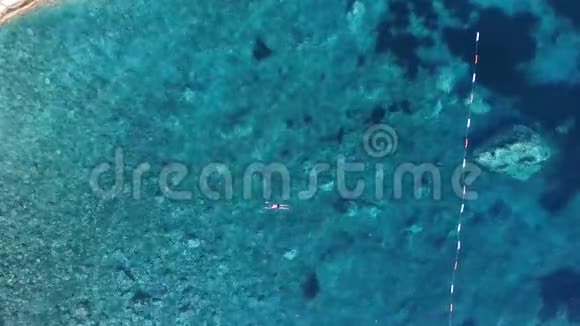 空中观景人在清澈的海水中蛙泳视频的预览图