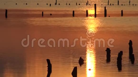 红日落在哈吉比河口上空视频的预览图