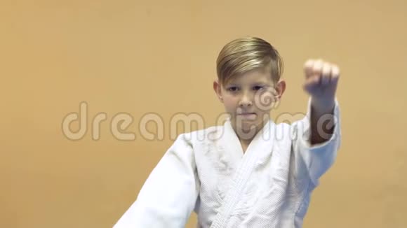 在健身房训练武术的小男孩视频的预览图