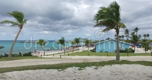 棕榈树在风中摆动海滩和大海在背景巴哈马视频的预览图
