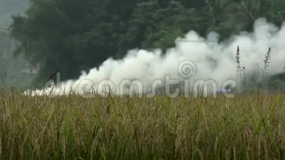 MaiChA农场上空烟雾视频的预览图