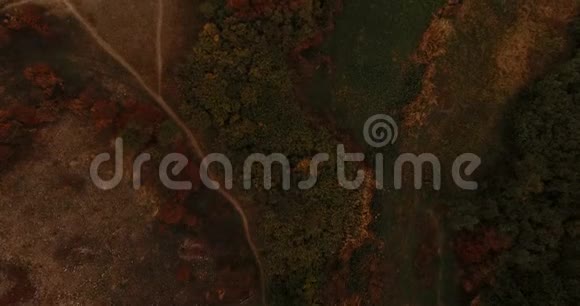 野田的俯视图场中平静美丽的秋景视频的预览图