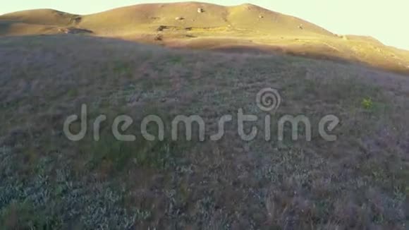 傍晚时分带着山丘在山谷上空的无人机空中飞行随风摇动视频的预览图