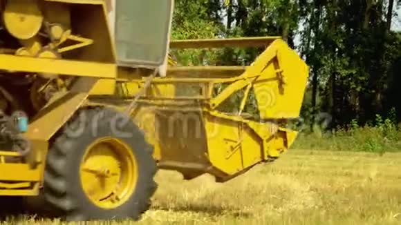 大联合收割机收割俄罗斯的小麦作物联合收割机割掉麦穗近点视频的预览图