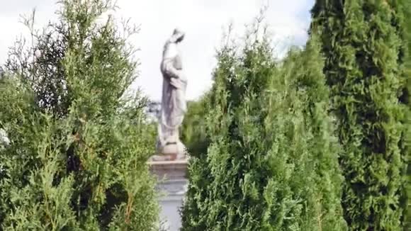 墓地里有树的雕像视频的预览图