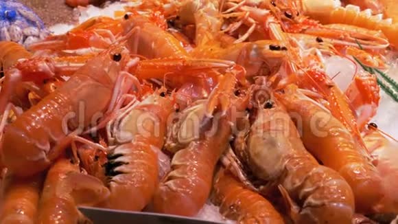 在拉伯克利亚鱼市的柜台上冰里的红色小龙虾巴塞罗那西班牙视频的预览图