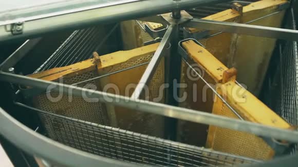 在实验室用木架收集蜂蜜的设备视频的预览图