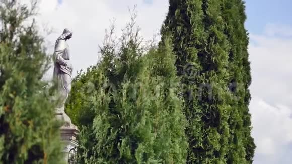 墓地里有树的雕像视频的预览图