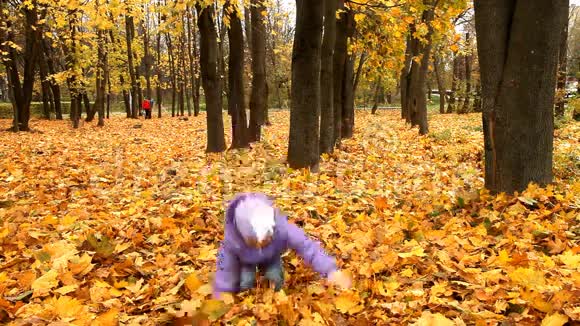 秋天的森林里玩树叶的宝贝视频的预览图