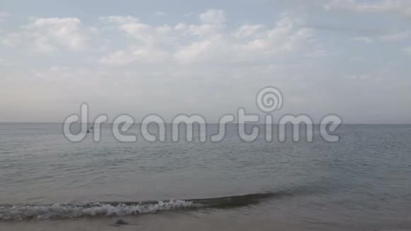 一群雌性正在沿着海滩奔跑视频的预览图