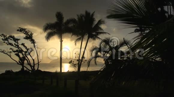 日出棕榈树和敦克岛的背景在任务海滩昆士兰澳大利亚视频的预览图