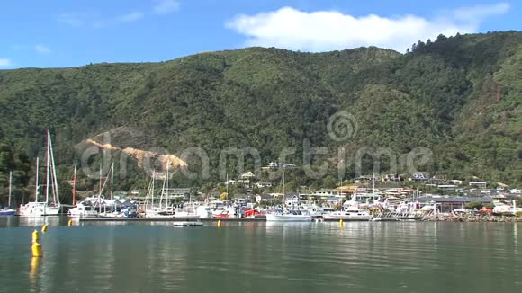 皮克顿港在夏天新新西兰视频的预览图