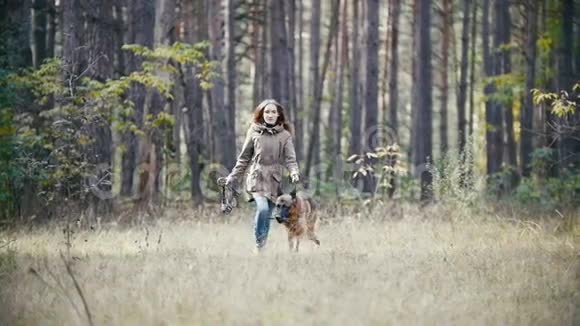 年轻可爱的快乐女人和她的狗德国牧羊人在黄色秋天公园狗玩树枝女孩的视频的预览图
