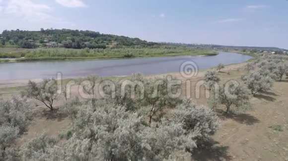 绿河两岸的夏季景观无人机射击视频的预览图