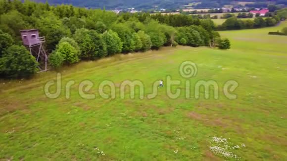 空中射击一个男孩在绿色的田野里奔跑视频的预览图
