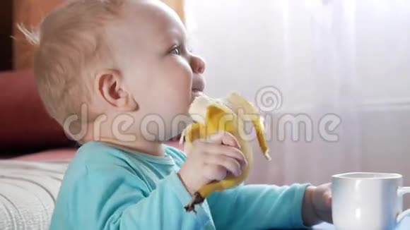 一个2岁有魅力的男孩吃香蕉在家里的桌子上仔细看电视上的卡通片视频的预览图
