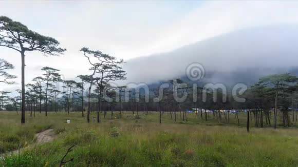 时间推移雨后云景在荒野草甸普索道国家公园乌塔拉迪特省泰国视频的预览图