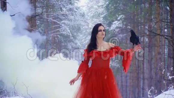 站在森林烟雾中的女孩抱着乌鸦视频的预览图