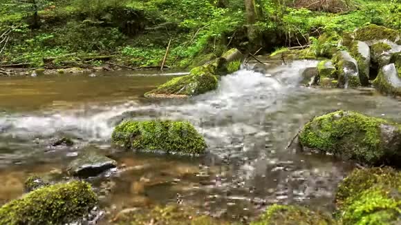 溪水山间小溪泉水石头上青苔巨石上流水视频的预览图