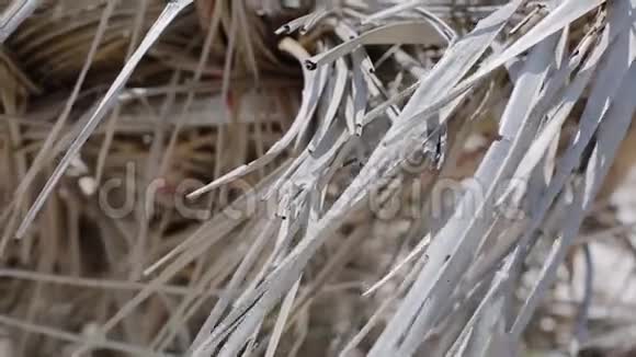 由干燥的棕榈叶组成的热带小屋屋顶视频的预览图
