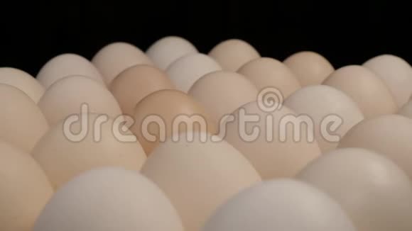 新鲜的大鸡蛋在看台上旋转视频的预览图