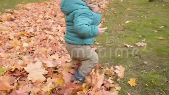 在秋天的树林里的孩子在树叶里爬行和洗澡视频的预览图