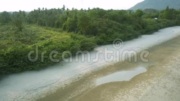 椰子树种植园雄蜂鸟瞰美景4k视频视频的预览图