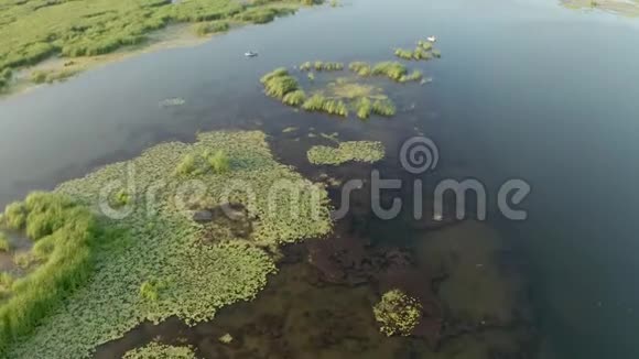 河滩湖河视频的预览图