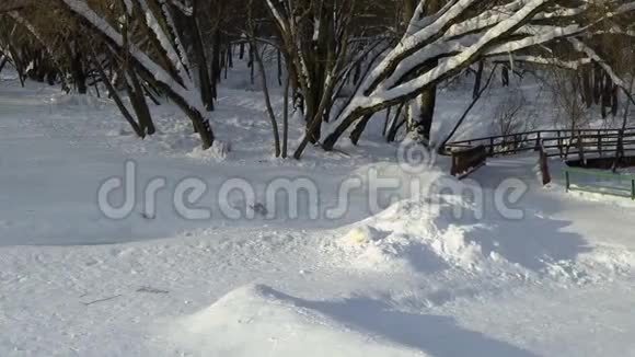 木桥穿过公园的路雪视频的预览图