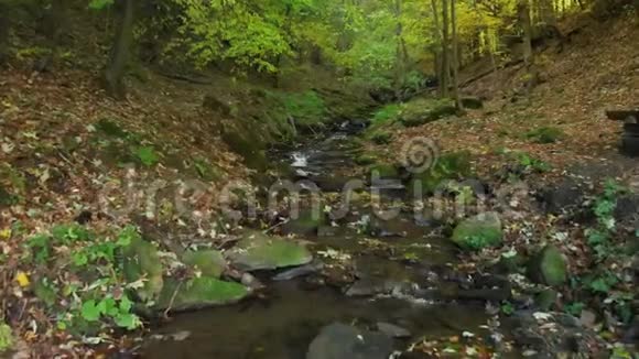 山林深处的山涧喀尔巴阡山脉乌克兰视频的预览图