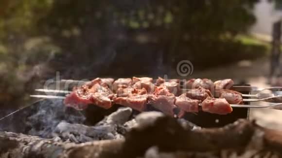 烧烤上有美味的烤肉和土豆烤肉串派对木炭烤架视频的预览图