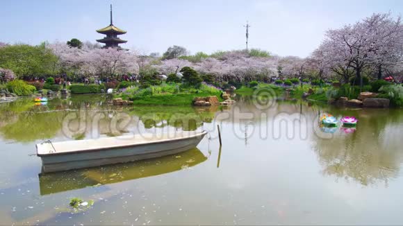 武汉东湖樱花园的时间推移视频的预览图