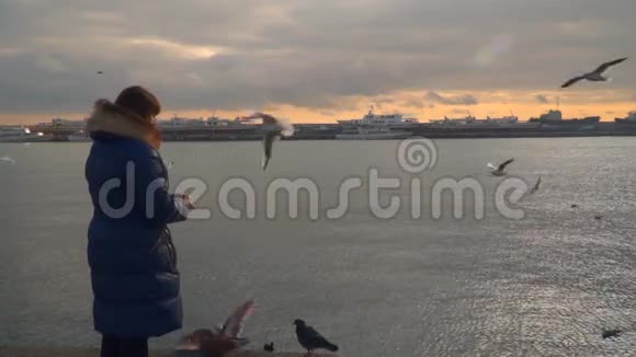 一个女人正在喂海鸥晚上时间视频的预览图