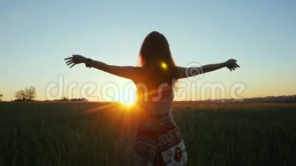 日出时美丽的女人站在田野上举起双手视频的预览图