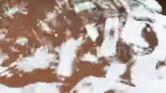 雨水滴在陶器里视频的预览图