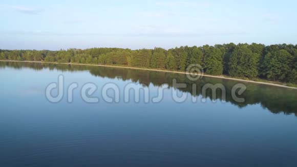 4K航空摄影在平静的湖面上靠近森林海岸飞行视频的预览图