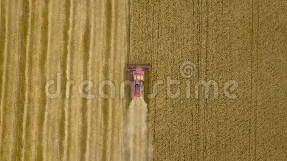 从联合收割机上方的高空俯视日落时收集小麦收获粮田作物季节4K视频的预览图