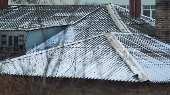 冬天的雪顶上的乌鸦视频的预览图