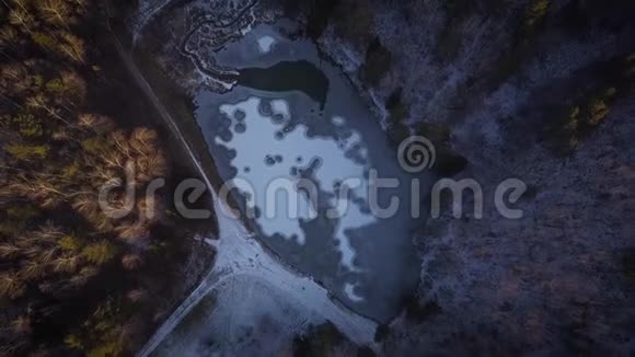 在冰冻的湖面上飞行水上的冰圈冬天的湖在森林或公园里树间视频的预览图