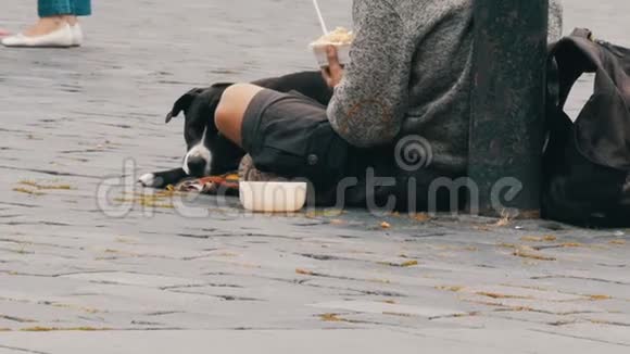 无家可归的穷人带着狗乞求路过的人等待硬币视频的预览图