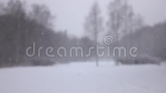 落在森林前面的雪视频的预览图