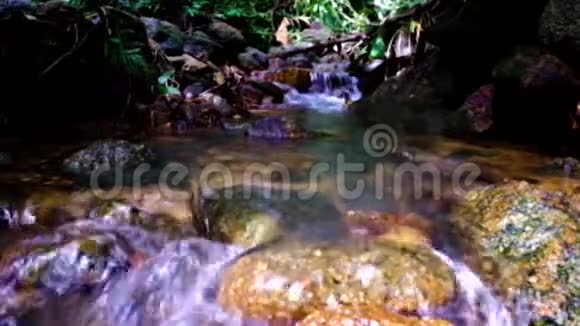 在森林里的河流中水流视频的预览图