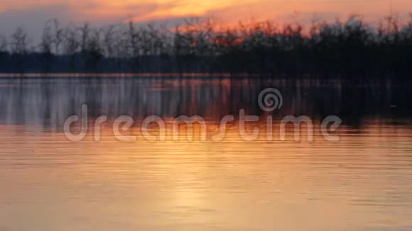 湖岸上的日落视频的预览图