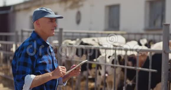 农民在看牛的时候使用数字平板电脑视频的预览图
