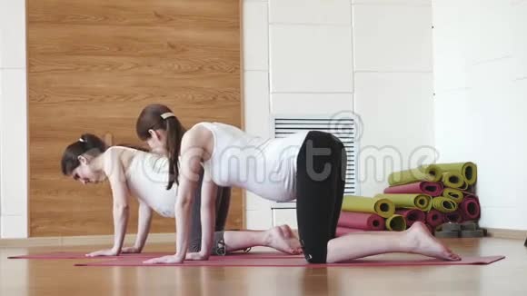两名孕妇做运动垫放松运动视频的预览图