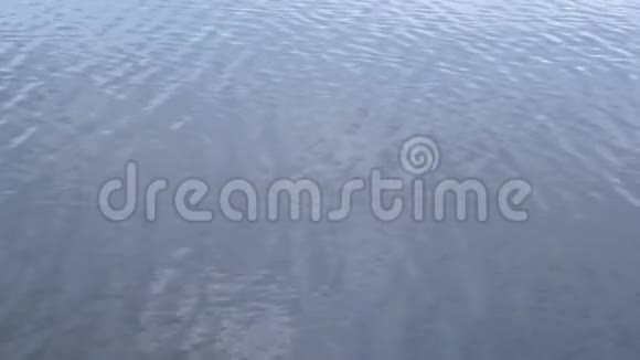 石头落在水面上的产水环和波浪视频的预览图