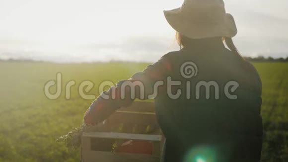 日落时分一个戴帽子的年轻女农夫手里拿着橘子南瓜在田野里南瓜收获农业视频的预览图