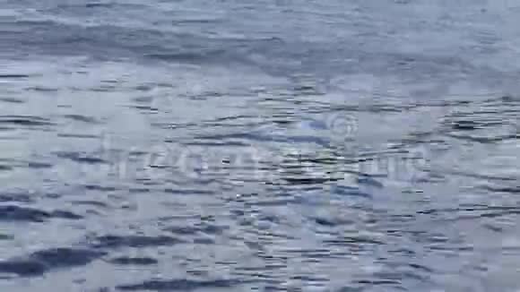 风起移动水面上的波浪视频的预览图